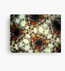 Kaleidescope 171 Canvas Print