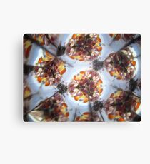 Kaleidescope 176 Canvas Print
