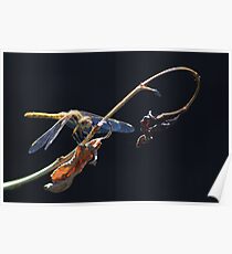 Dragon Against Darkness Poster