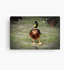 "Geography Coursework" Canvas Print