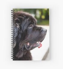 large black Newfoundland dog Spiral Notebook