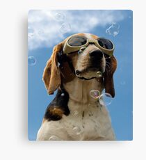 Hound amongst the bubbles Canvas Print