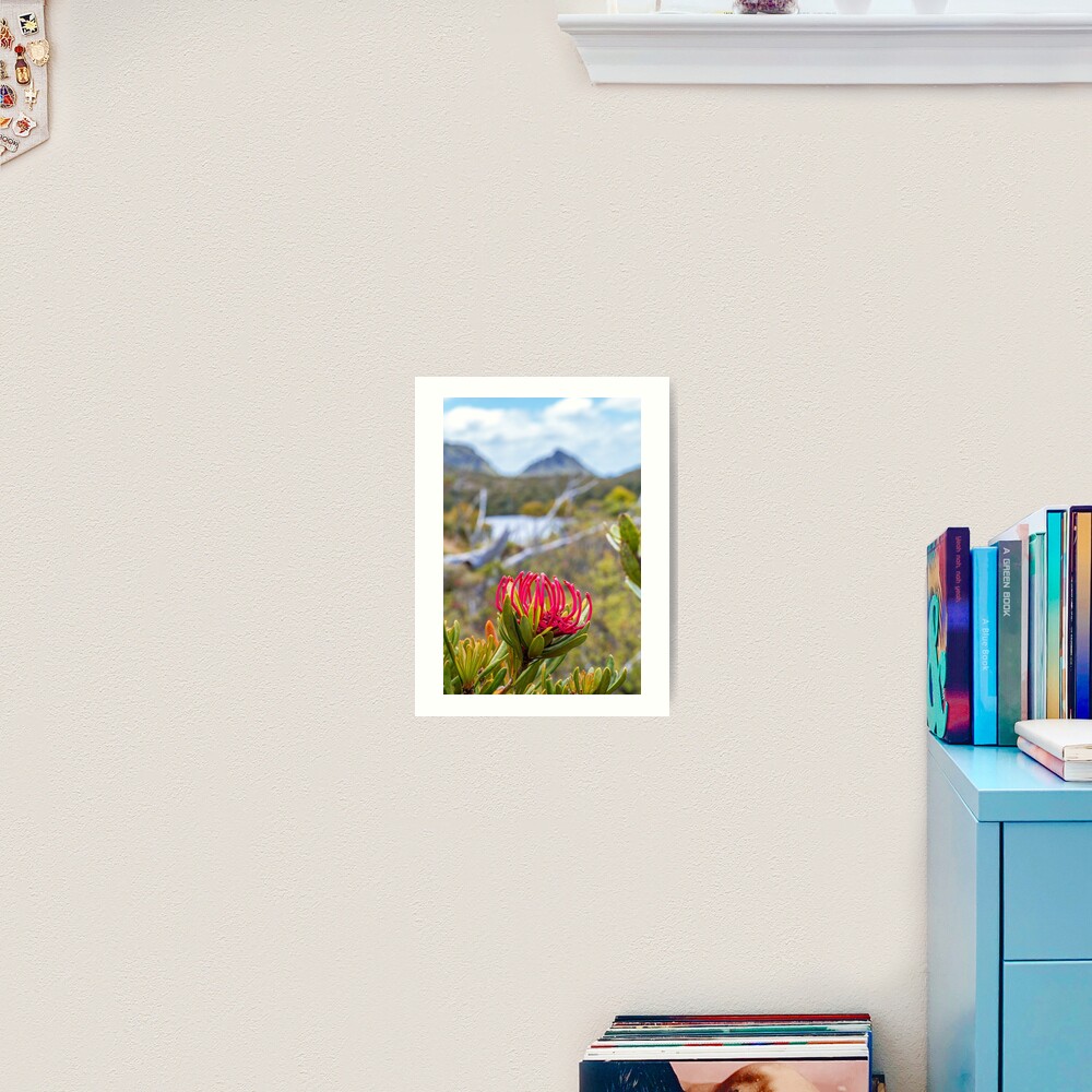 Tasmanian Telopea II Art Print