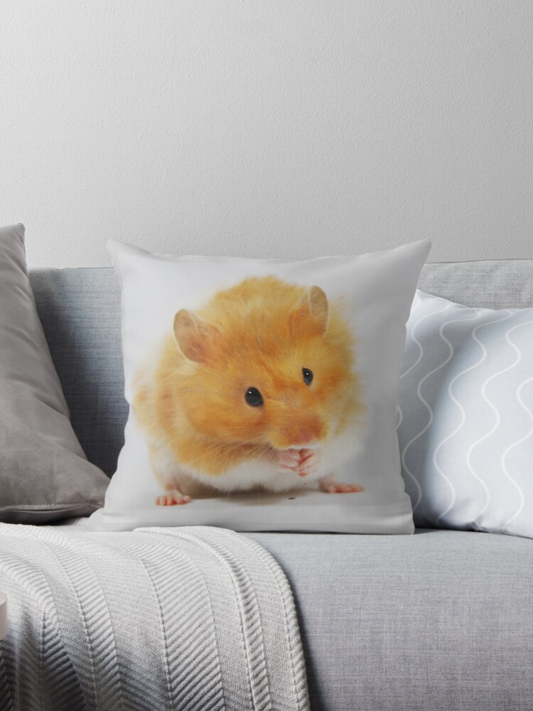 hamster pillow pet