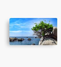 Shrubs. Canvas Print