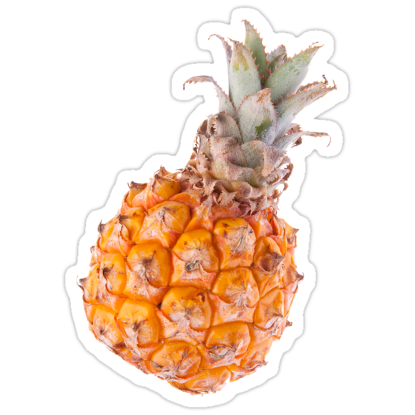 Becker surf coupon