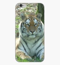 Tiger Photographic image iPhone Case