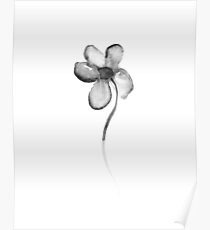 Flower Lithograph Print Poster