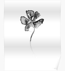 Flower Lithograph Print Poster