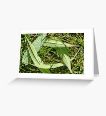 some nice arrangement Greeting Card