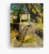 Parking Meter in Dartmoor Metal Print