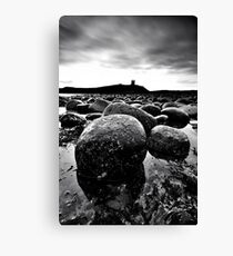 DRAGON EGGS Canvas Print