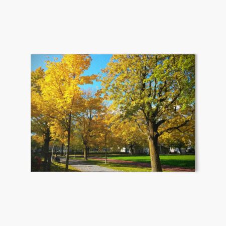 Untitled Art Board Print