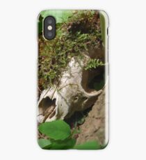 carcasa iphone 6 biodegradable carcasa iphone 6 biodegradable