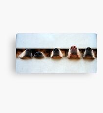 Hounds Canvas Print