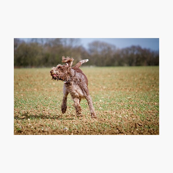 Untitled Photographic Print