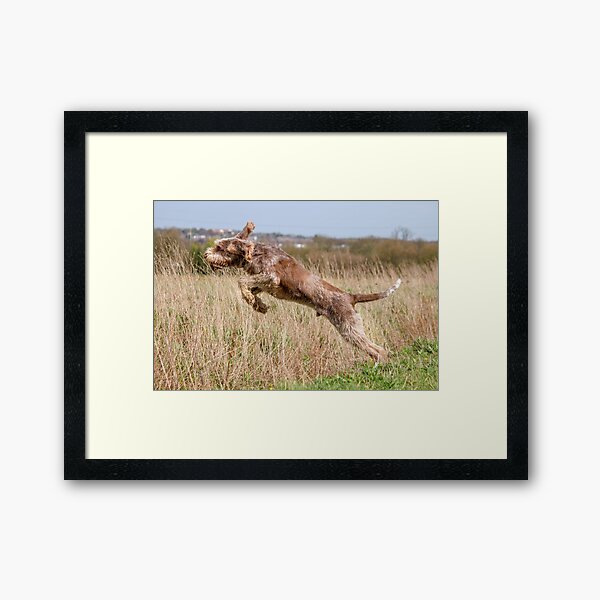 Untitled Framed Art Print