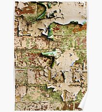 Textures - Green and white peeling paint Poster