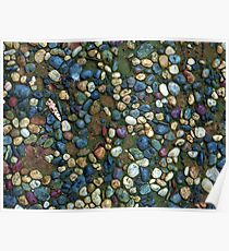 Textures - Path with coloured pebbles and mould Poster