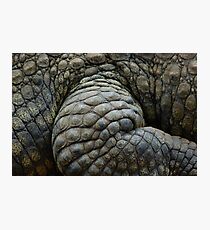 Armour Photographic Print