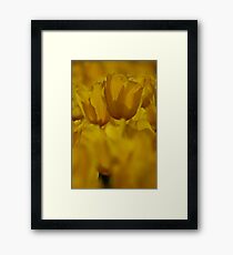 Yellow Framed Print