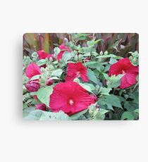 Somewhere In Hibiscus Land Canvas Print