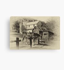 Blue Ridge Country Canvas Print