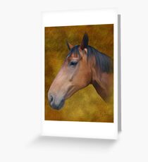Brown Horse painting Grußkarte