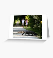I Spy An Alligator Greeting Card