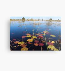 Okavango Delta Metal Print