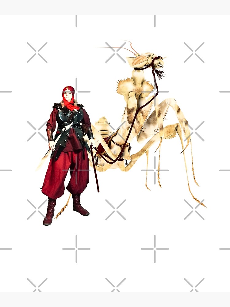 the dromedary by cglightNing