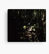 the elder forest Canvas Print