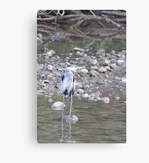 Stilts Canvas Print