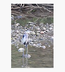 Stilts Photographic Print