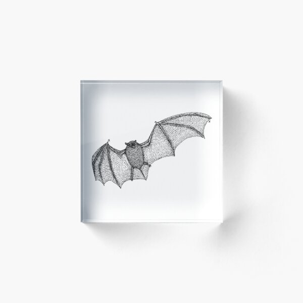 Dotwork Pipistrelle Acrylic Block