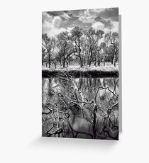 Immersed Greeting Card