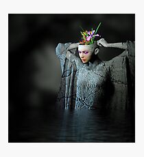Osmosis Photographic Print