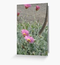 Flowers Greeting Card