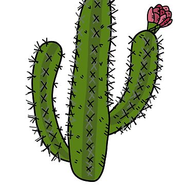 Green cactus, Cactaceae Saguaro Drawing, Arizona Cowboy s, hand