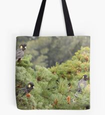 Black Cockatoos Tote Bag