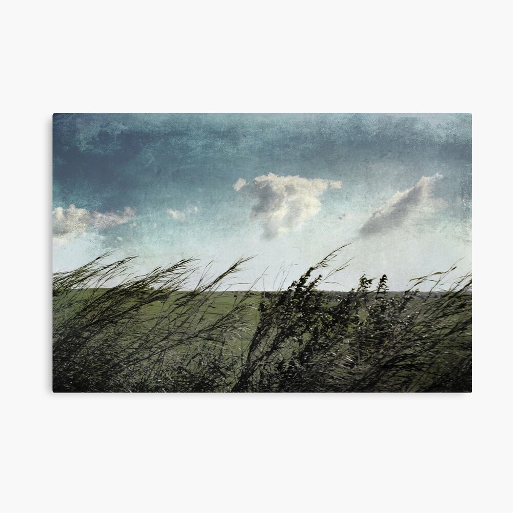 If the winds of winter could soothe my soul Canvas Print