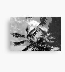 Tropic Metal Print