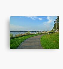 Viewpoint Canvas Print