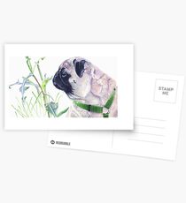 Pug & Nature - Colored Pencil Postcards