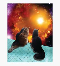 space cats Photographic Print