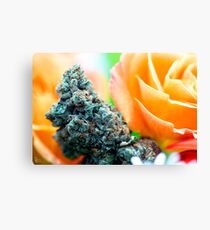 Untitled Canvas Print