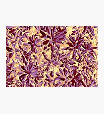Pattern #24 Photographic Print