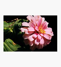 Ribbon Flower Photographic Print