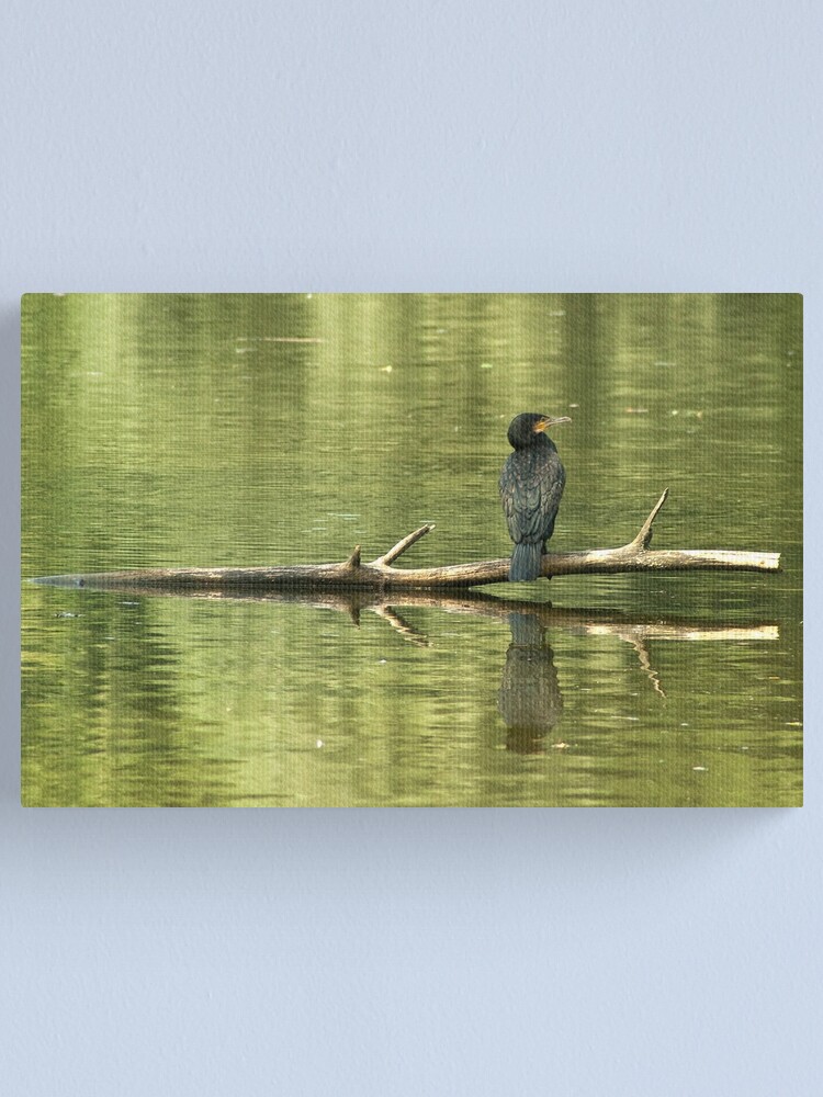Alternate view of Peace again... Canvas Print