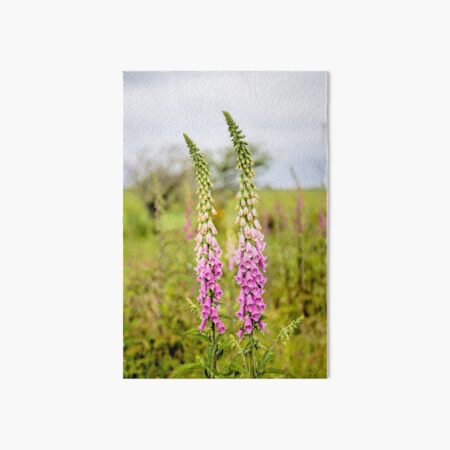 Young Foxglove Flowers Art Board Print